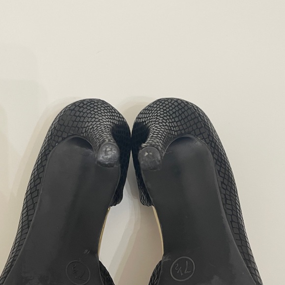 Massimo - Picture 6 of 8